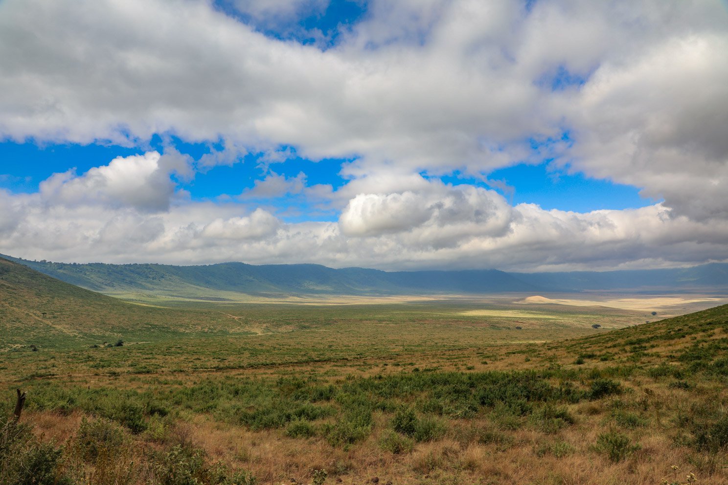 Ngorongoro