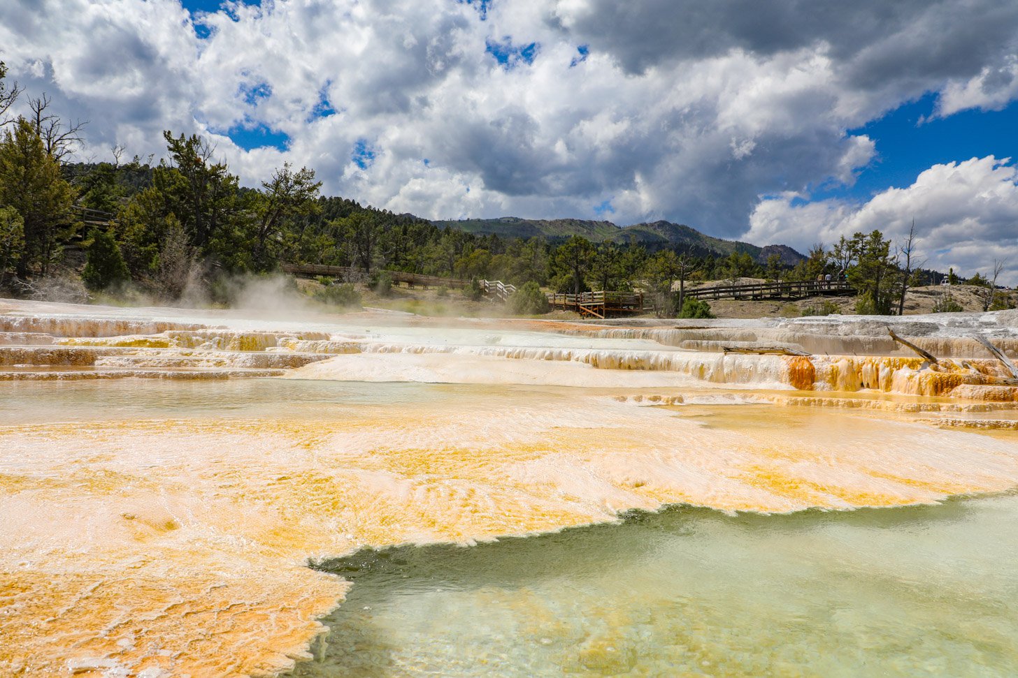 Yellowstone National Park