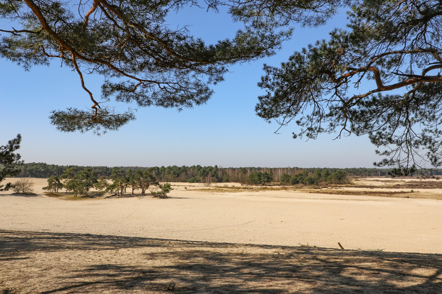 Loonse en Drunense Duinen