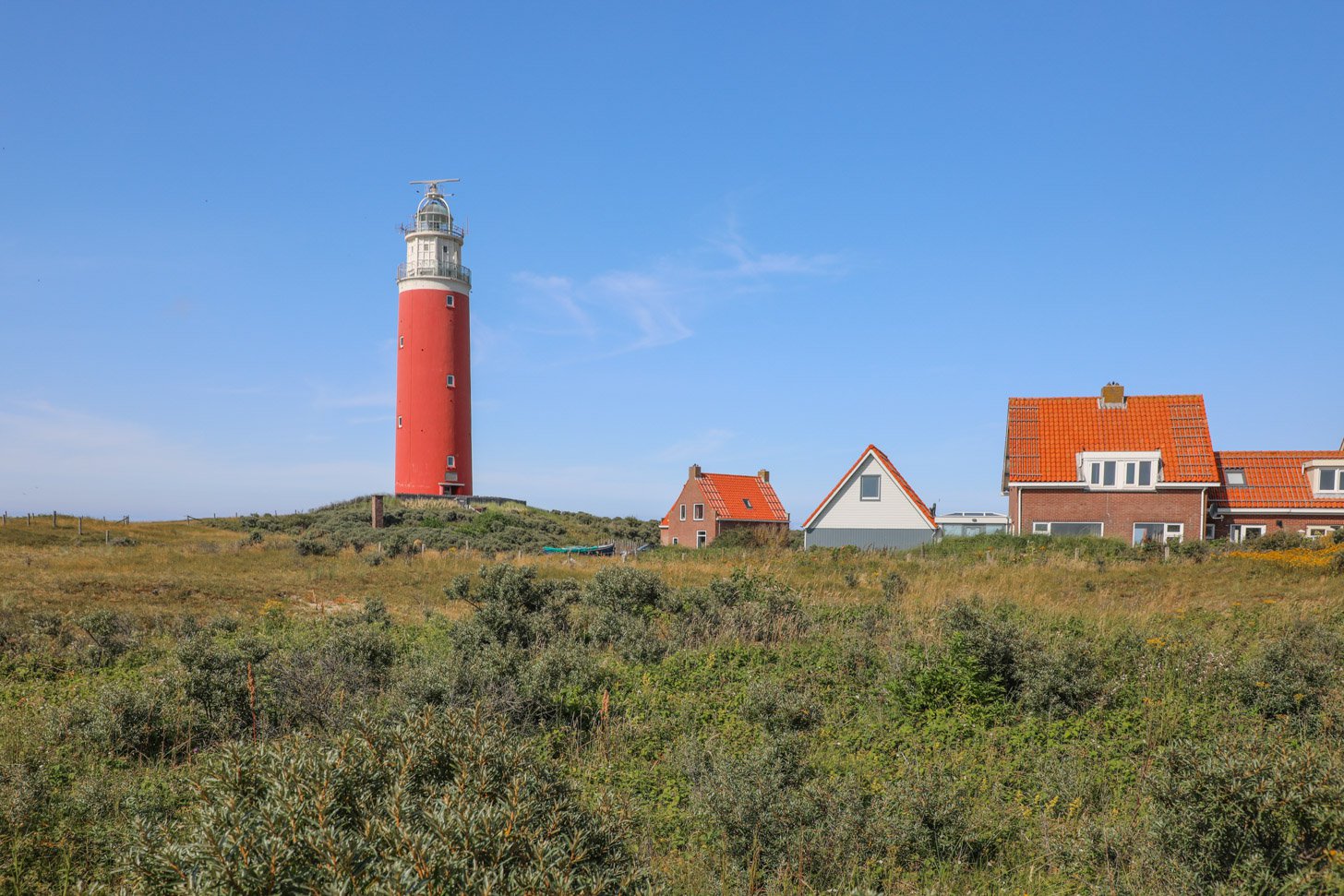 Texel