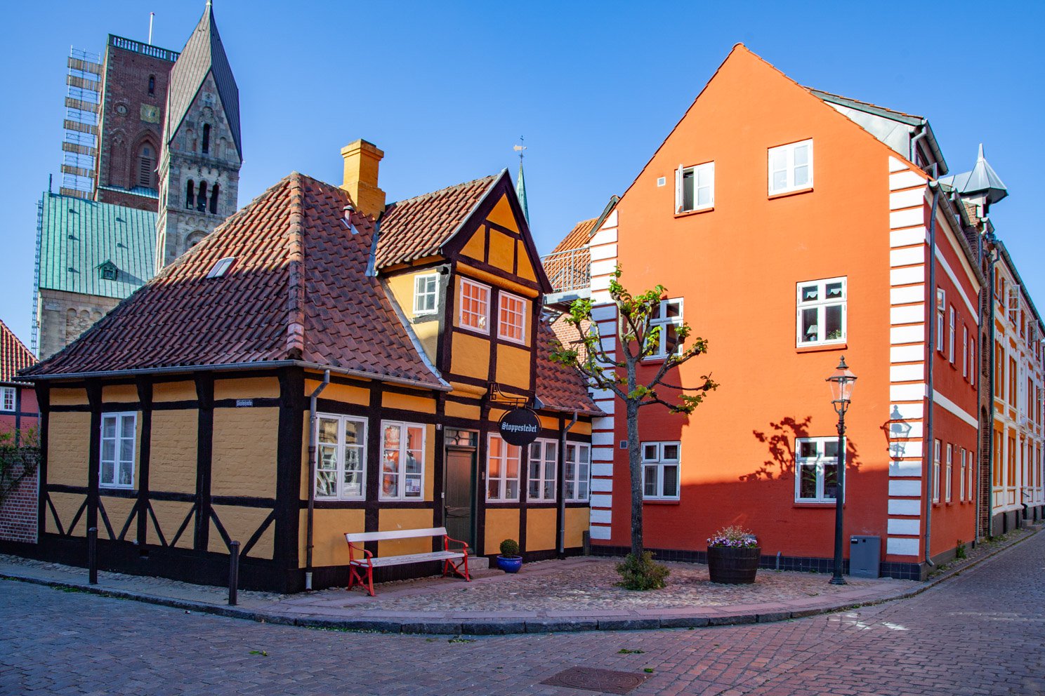 Ribe